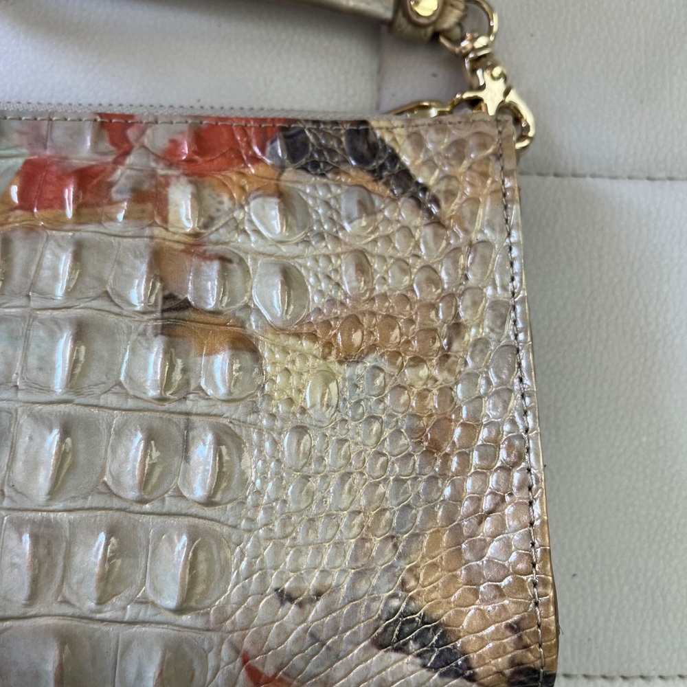 BRAHMIN - Picture 4 of 14